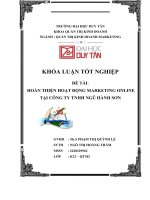 HOÀN THIỆN HOẠT ĐỘNG MARKETING ONLINE tại CÔNG TY TNHH NGŨ HÀNH sơn