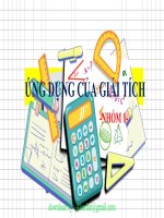 tiểu luận ứng dụng của đạo hàm một biến  các ứng dụng của giải tích 
