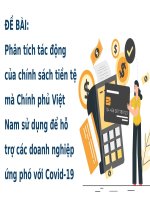 tiểu luận phân tích tác động của chính sách tiền tệ mà chính phủ việt nam sử dụng để hỗ trợ các doanh nghiệp ứng phó với covid 19 