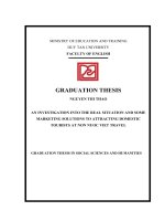 NN  GRADUATION THESIS  AN INVESTIGATION INTO THE REAL SITUATION AND SOME MARKETING SOLUTIONS TO ATTRACTING DOMESTIC TOURISTS AT NON NUOC VIET TRAVEL