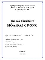 Báo cáo thí nghiệm hóa đại CƯƠNG 