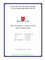 TIỂU LUẬN TIỂU LUẬN MODULE 3 – sử DỤNG văn bản đề tài TIN học cơ bản 
