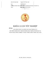 Giải pháp nâng cao hiệu quả hoạt động của hệ thống kiểm soát nội bộ trong hoạt động tín dụng tại NH nông nghiệp và phát triển nông thôn việt nam   khoá luận tốt nghiệp 140