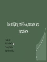 TIỂU LUẬN identifying miRNA, targets and functions 