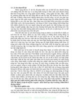 (SKKN mới NHẤT) SKKN dạy học hiệu quả theo định hướng phát triển năng lực và phẩm chất học sinh bài 29   tiết 30  bệnh và tật di truyền ở người   môn sinh học lớp 9 trường THTHCS hoằng minh 