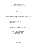 (Luận án tiến sĩ) nghiên cứu nâng cao hiệu quả bộ xúc tác ba thành phần cho động cơ sử dụng nhiên liệu xăng pha cồn 