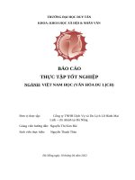 THỰC TRẠNG SALE TOUR TẠI CÔNG TY DU LỊCH MAI LINH đà NẴNG