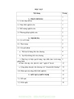 (SKKN mới NHẤT) SKKN một số giải pháp tạo hứng thú cho học sinh trong giờ học đọc  hiểu văn bản ngữ văn 9 ở trường THCS hà tiến 