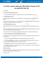 Lý thuyết Các kiểu, nguyên nhân gây biến động số lượng cá thể quần thể sinh vật Sinh học 12