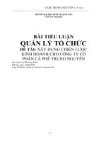 TIỂU LUẬN QUẢN lý tổ CHỨC xây DỰNG CHIẾN lược KINH DOANH CHO CÔNG TY cổ PHẦN cà PHÊ TRUNG NGUYÊN 