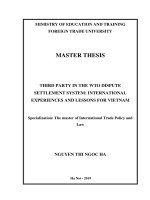 (LUẬN văn THẠC sĩ) THIRD PARTY IN THE WTO DISPUTE SETTLEMENT SYSTEM INTERNATIONAL EXPERIENCES AND LESSONS FOR VIET 