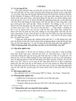 (SKKN mới NHẤT) một số phương pháp tính giới hạn của dãy số cho bởi hệ thức truy hồi 