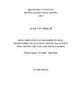 (LUẬN văn THẠC sĩ) hoàn thiện công tác thẩm định tín dụng doanh nghiệp tại ngân hàng thương mại cổ phần công thương việt nam   chi nhánh nam định 