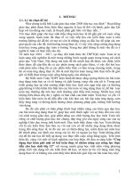 (SKKN mới NHẤT) ứng dụng đạo hàm giải một số bài toán thực tế nhằm nâng cao năng lực thực tiễn cho học sinh lớp 12 