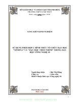 (SKKN mới NHẤT) SKKN sử dụng phối hợp 2 hình thức tổ chức dạy học xêmina và  dạy học theo nhóm trong dạy học công nghệ 10 