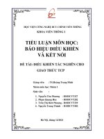 TIỂU LUẬN MÔN HỌC  BÁO HIỆU ĐIỀU KHIỂN VÀ KẾT NỐI NHÓM 13 1 ĐỀ TÀI ĐIỀU KHIỂN TẮC NGHẼN CHO GIAO THỨC TCP