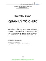 TIỂU LUẬN QUẢN lý tổ CHỨC xây DỰNG CHIẾN lược KINH DOANH CHO CÔNG TY cổ PHẦN cà PHÊ TRUNG NGUYÊN 