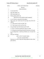 (SKKN mới NHẤT) sử dụng đường biểu diễn và hình vẽ để tạo hứng thú học tập cho học sinh trong dạy học truyện ngắn chí phèo của nam cao 