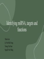 TIỂU LUẬN identifying miRNA, targets and functions 