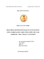 Hoạt động kinh doanh ngoại tệ tại NH Nông nghiệp và Phát triển Nông thôn Việt Nam AGRIBANK - Thực trạng và Giải pháp - Khoá luận tốt nghiệp 259