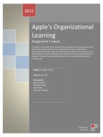Apple’s Organizational Learning Assignment 2 report