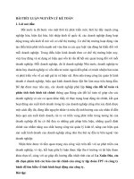 TIỂU LUẬN phân tích các báo cáo tài chính của công ty tập đoàn FPT và công ty bánh để tìm hiểu về tình hình hoạt động của công ty 