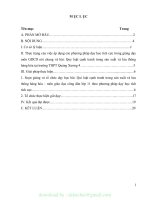 (SKKN mới NHẤT) SKKN quy luật cạnh tranh trong sản xuất và lưu thông hàng hóa 