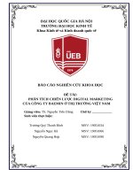 PHÂN TÍCH CHIẾN LƯỢC DIGITAL MARKETING CỦA CÔNG TY BAEMIN Ở THỊ TRƯỜNG VIỆT NAM