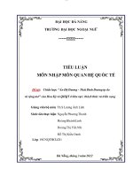 Tiểu luận chiến lược ấn độ dương thái bình dương tự do và rộng mở của mỹ 