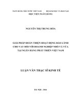0031 giải pháp hoàn thiện hoạt động bảo lãnh cho vay đối với doanh nghiệp nhỏ và vừa tại NH phát triển việt nam luận văn thạc sĩ kinh tế