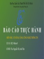 bao cáo thực hành môn cơ sở hạ tầng công nghệ thông tin ưu, nh ược điểm v à giải ph áp ph át triển trong t ư ơng lai cho từng th ành phần cấu tạo CSHT CNTT của BVTW hu ê 