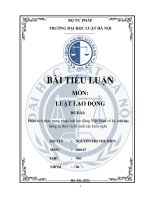 LLD-440147-NguyenThiThuHien