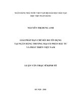 0089 giải pháp hạn chế rủi ro tín dụng tại NHTM CP đầu tư và phát triển việt nam luận văn thạc sỹ kinh tế