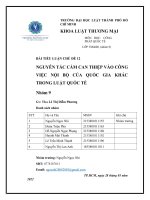 BÀI TIỂU LUẬN CHỦ đề 12 NGUYÊN tắc cấm CAN THIỆP vào CÔNG VIỆC nội bộ của QUỐC GIA KHÁC TRONG LUẬT QUỐC tế