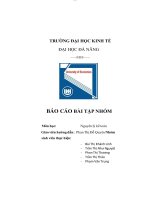 Môn nguyên lý kế toán công ty cổ phần xuất nhập khẩu đà nẵng 