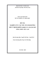 Nghiên cứu các yếu tố ảnh hưởng đến ý định khởi nghiệp của thanh niên nông thôn việt nam