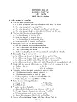 Đề kiểm tra Ngữ văn 10 chuẩn  Học kì 1  Đề số 2537457