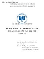 tiểu luận nhóm đề tài KẾ HOẠCH MARCOM – DIGITAL MARKETING CHO AEON MALL BÌNH TÂN 