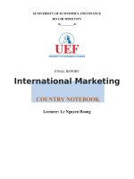 Final report international marketing