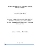 0542 Giải pháp đa dạng hóa hoạt động kinh doanh NH tại NH Nông nghiệp và Phát triển nông thôn Việt Nam - chi nhánh tỉnh Bắc Ninh Luận văn Thạc sỹ Kinh tế
