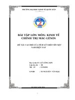 BÀI tập lớn môn KINH tế CHÍNH TRỊ mác LÊNIN đề tài VAI TRÒ của TÍCH lũy đối với VIỆT NAM HIỆN NAY 