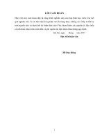 (LUẬN văn THẠC sĩ) nghiên cứu giải pháp đẩy nhanh tiến độ xây dựng nông thôn mới trên địa bàn huyện hữu lũng, tỉnh lạng sơn 