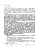 Chính sách xúc tiến prudential