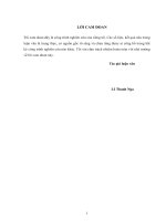 (LUẬN văn THẠC sĩ) nghiên cứu giải pháp phát triển nguồn nhân lực của đài phát thanh ttruyền hình thái nguyên 