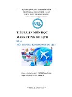 TIỂU LUẬN môn học MARKETING DU LỊCH đề tài môi TRƯỜNG KINH DOANH DU LỊCH 