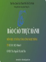 bao cáo thực hành môn cơ sở hạ tầng công nghệ thông tin ưu, nh ược điểm v à giải ph áp ph át triển trong t ư ơng lai cho từng th ành phần cấu tạo CSHT CNTT của BVTW hu ê 