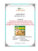 Xây dựng giải pháp chiến lược marketing cho sản phẩm hạt nêm knorr 