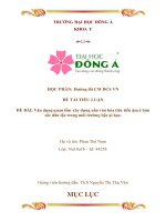 Tiểu luận quan điểm xây dựng nền văn hóa tiên tiến đậm đà bản sắc dân tộc trong môi trường bậc đại học 