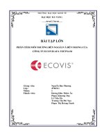 Phân tích môi trường bên ngoài và bên trong của công ty ecovis afa vietnam 