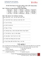 VÒNG 18   bộ ôn TRẠNG NGUYÊN TIẾNG VIỆT lớp 3 